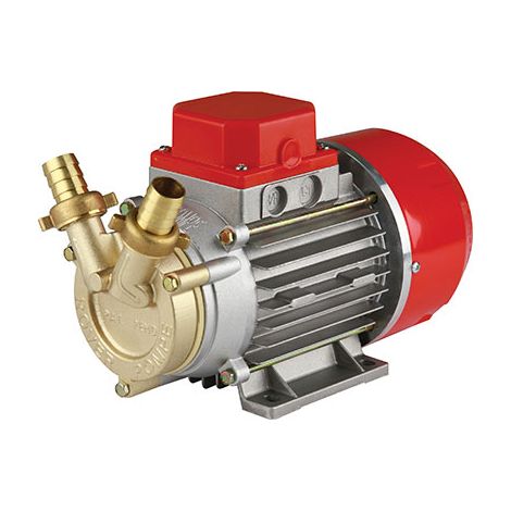 Elettropompa Travaso Gasolio Marina 20 Rover 12 Volt HP 0,5 Lt H 1700 H.max