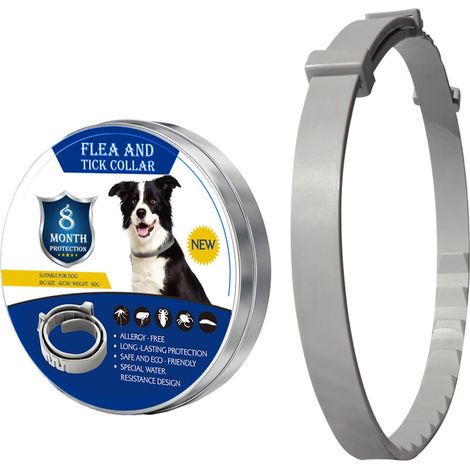 Collier Antiparasitaire pour Chien, Réglable Jusqu’à 63 cm, Convient aux Petits, Moyens et Grands Chiens, Résistant à l’Eau, Idéal pour la Natation et Les Activités Extérieures