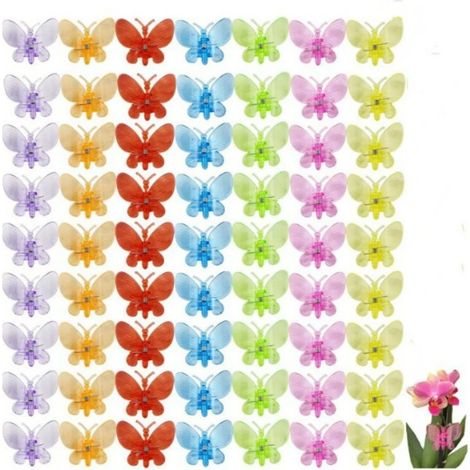 100 pinces à orchidées, supports pour orchidées, pinces en plastique colorées pour plantes grimpantes (1/5)