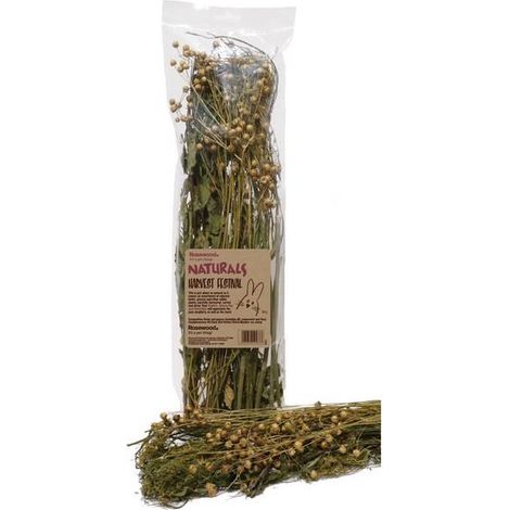 Rosewood Harvest Festival 80G - PK 10 - 267477