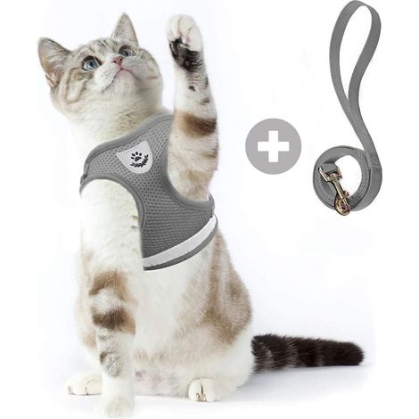 Sangle de poitrine pour animaux de compagnie - Gris argenté S (1/5)