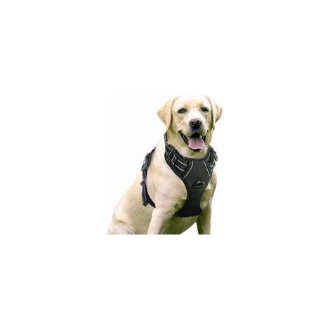 Schwarzes Anti-Zug-Hundegeschirr – Reflektierend – Verstellbar für Größe L (Halsumfang 46–66 cm, Brustumfang 43–86 cm) – Verschlussriemen vorne (1/5)