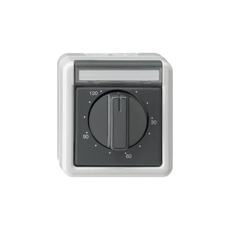 Gira Temporizz. 2-p 120 min BSF WG AP Grigio [032130], 0321 30