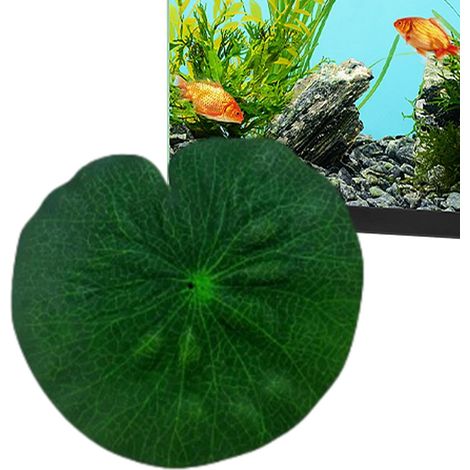 Coussinets étang réalistes feuilles lotus grenouille artificielles feuille