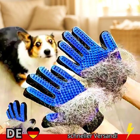 Gant-peigne pour poils d'animaux - Toilettage, nettoyage et épilation des chiens et chats (1/5)