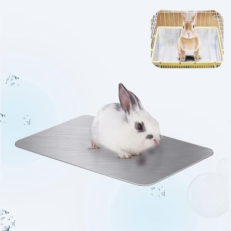 Tapis rafraîchissant pour lapin 30 x 20 cm, nappe de refroidissement pour hamster, cochon d'Inde et petits animaux (1/5)