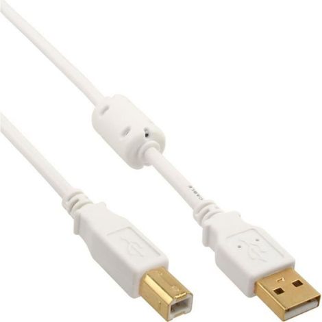 Câble USB - A Mâle Vers B Mâle - USB 2.0 - 1 M - Contacts Plaqués Or - Noyau De Ferrite