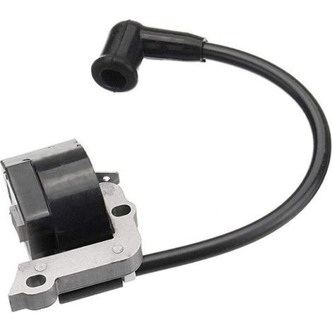 Zündspule für Stihl Fs55 Fs55c Fs46 Fc55 Fs38 Fs45 Fs55 Hl45 Hs45 - Bdliv (1/4)