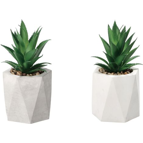 VASO CON PIANTA GRASSA DECORATIVA D.9XH19CM IN 2 C (1/3)