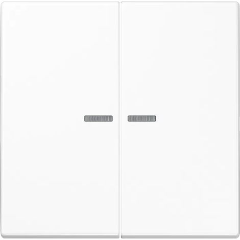 Jung Wippe 2fach mit Lichtleiter, Duroplast, Serie LS, alpinweiß LS995KO5WW (1/2)