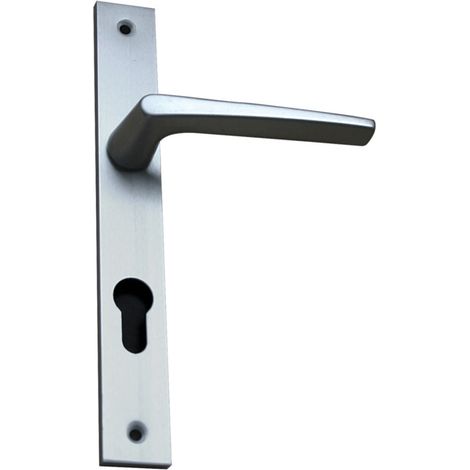 Set RIV-28 N°2 maniglia a doppia leva BEZAULT Argento - Chiave i - 146254