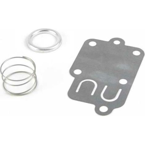 Membrane carburateur joint pour Briggs & Stratton 270026 (1/3)