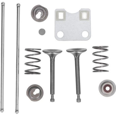 Kit couvre-platine soupape + ressorts – 14791-ZE1-010 – pour moteur GX160 GX200 5.5HP 6.5HP (1/5)