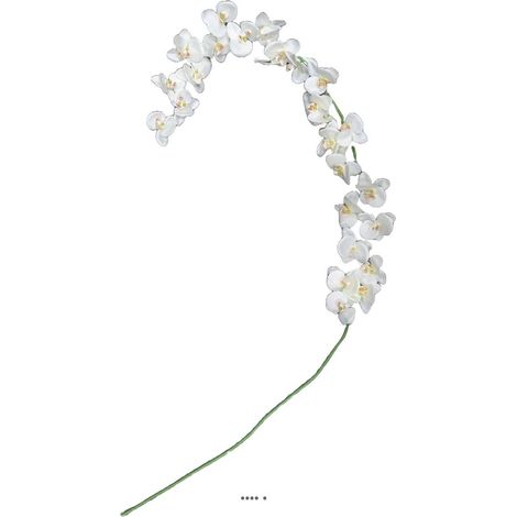 Orchidée en tige retombant H190cm 32 fleurons 5 boutons fermés PE Crème