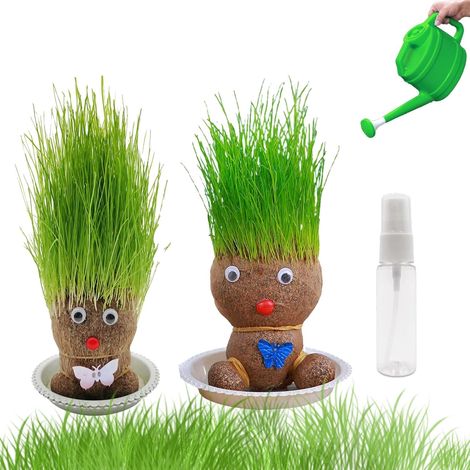 Mini bonsai a forma di bambola con testa d'erba, 2 piante , pianta a forma di testa d'erba, pianta a forma di bambola con testa d'erba, bambola con testa d'erba con vassoio (M2) (1/3)