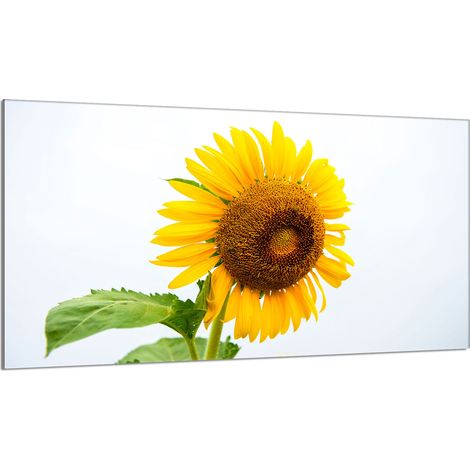 Placa de protección de estufa de vidrio 90x52 Flor (1/5)