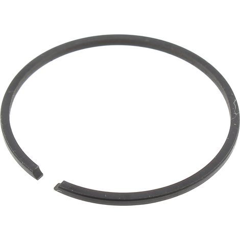 Segment für Kantenschneider ryobi