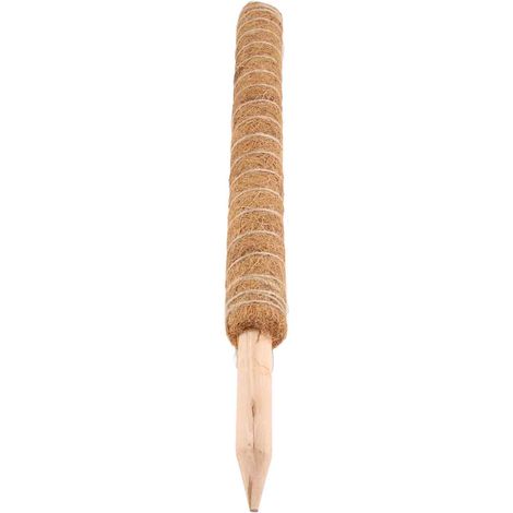 Tuteurs en mousse, supports en mousse pour plantes grimpantes, tuteurs en mousse écaille de tortue pour plantes, tuteurs pour cocotiers (1/5)