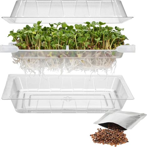 Browin® Contenitore per germogli per la coltivazione di germogli 745748  germogli con coperchio e ciotola  germinatore per semi di crescione, germogli di erba e semi di rucola  con semi di (1/5)