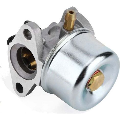 Carburateur pour Briggs & Stratton Kit de Remplacement avec Joint torique 799868 498254 497347 497314 498170 799872 Carb 50-657 Accessoires (1/5)