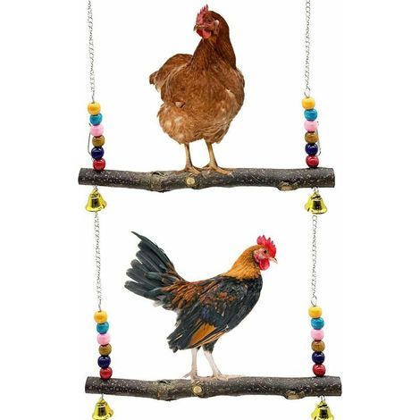 Ensemble d'accessoires pour poulailler : 2 balançoires en bois naturel, support en bois pour poules, balançoire pour perruches et poules, jouet pour poules, dressage des perruches. (1/5)