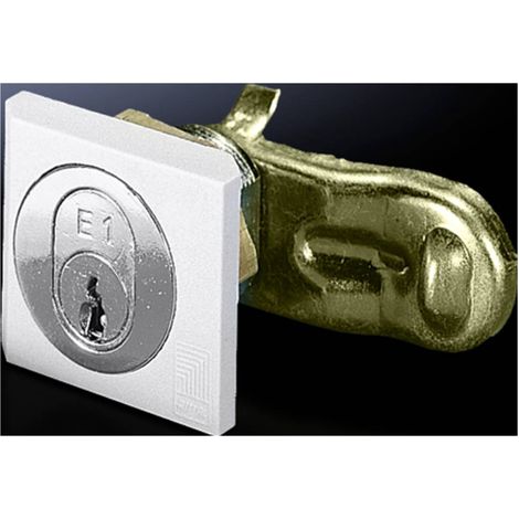 N/A fermeture de sécurité Rittal 2540.500 Polyamide 1 pc(s) (1/2)