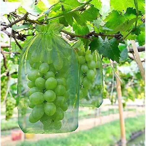 Lot de 50 sacs anti-insectes et moustiques, 30 x 20 cm, filet à mailles fines pour protéger les fruits (raisins, fraises, cerises) des guêpes, des déjections d'oiseaux et des cerises. (1/5)