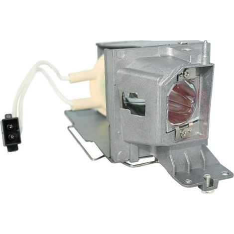 1 Ampoule de projecteur avec boîtier, compatible Optoma SP.73701GC01, pour modèles BR323, DH1008