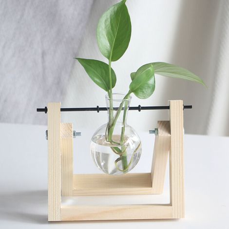 Station de propagation de plantes avec support en bois terrarium vegetal pour deco bureau maison jardinage support bois bouteille unique (1/5)