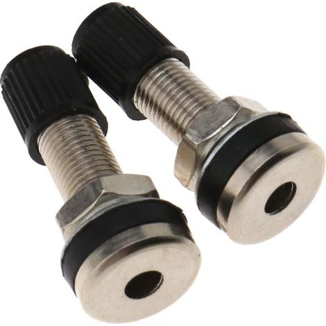 Set mit 2 35-mm-Schlauchlos-Metallventilen für Auto- und Motorradreifen mit Staubkappen (1/5)