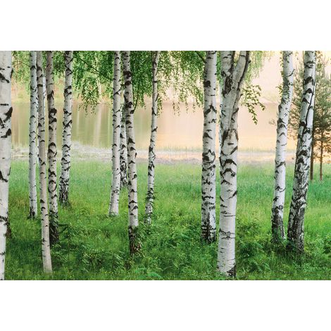 Papier peint panoramique forêt gris & vert | Tapisserie panoramique arbre & lac pour salon | Papier peint panoramique pour cage d'escalier - 366 x 254 cm (8 pièces) (1/2)