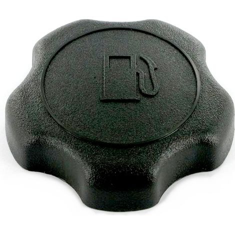 Briggs & Stratton – Bouchon de réservoir essence moteur – Pièce d'origine constructeur – Compatible moteurs Série 800 et 900 – Joint et bouchon de vidange