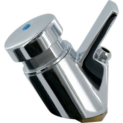 Tête seule robinet Delabie pour fontaine d'eau, pour tube rislan 4x6