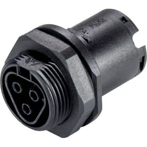 Wieland Electric 96.031.1053.1 Rundstecker Buchse, Einbau Gesamtpolzahl: 3   1 St.