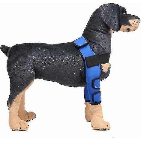 Housse de protection chirurgicale pour chien, genouillères, protège-jambes (bleu, taille S) (1/4)