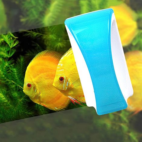 Magnetische Aquarienreinigungsbürste, schwimmendes Algenentfernungswerkzeug mit Griff (blau) (1/5)