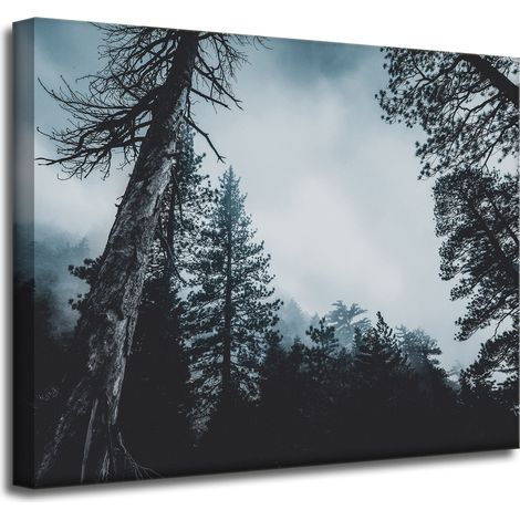 Leinwanddruck Natur Baumkronen 50x40 cm