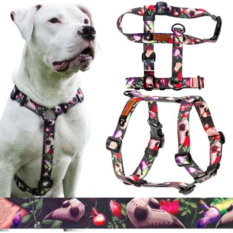 Arnés de paseo seguro para perros medianos de hasta 20 kg M/L 25 mm Ukory (1/5)