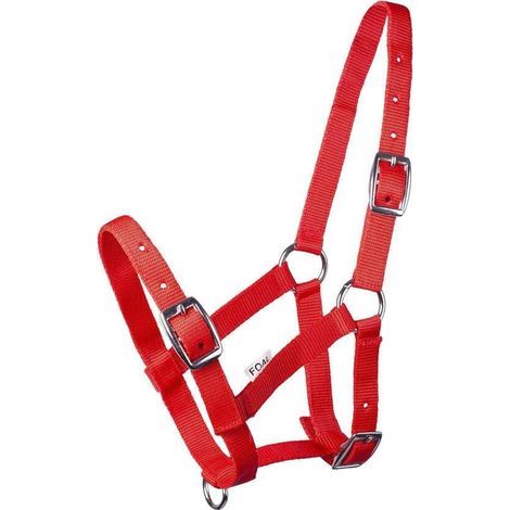 Adjustable Red Nylon Foal Halter with Breeding Print (1/5)