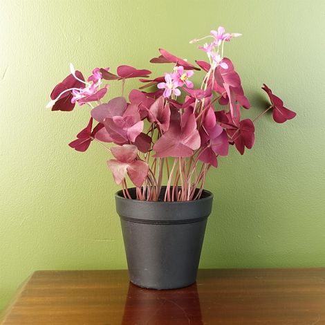 30cm Artificial Plant Realistic Purple Shamrock Pink Flowers Potted (1/3)
