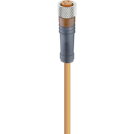 Lumberg Automation 11300-1 Sensor-/Aktor-Steckverbinder, konfektioniert M8 Buchse, gerade 2.00 m Pol