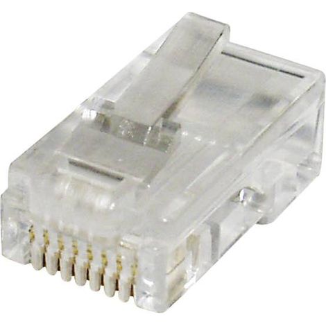Fiche modulaire mâle econ connect MPL88R RJ45 mâle, droit Pôle: 8 transparent(e) 1 pc(s) Y721671
