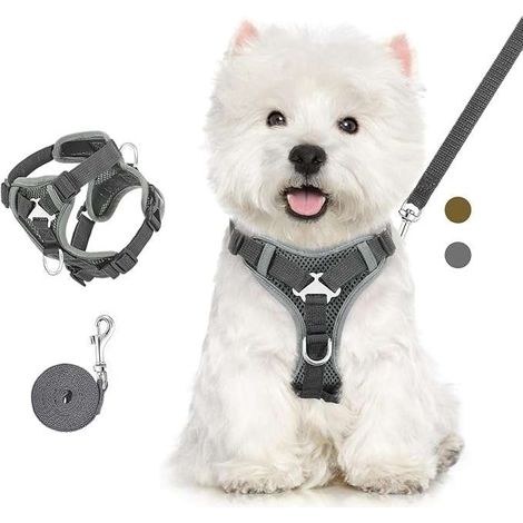 Hunde- und Katzengeschirr mit Leine, verstellbar, reflektierend, atmungsaktiv, Größe L, Grau