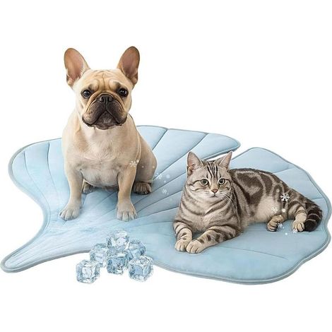 Tapis Rafraîchissant pour Chiens - Couverture (1/4)