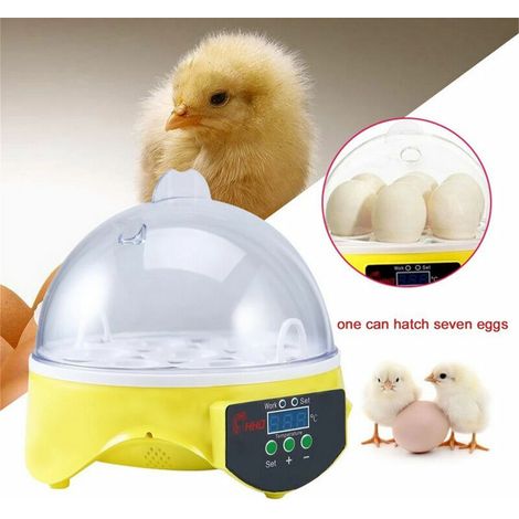 Incubatrice digitale automatica per schiusa di 7 uova di gallina