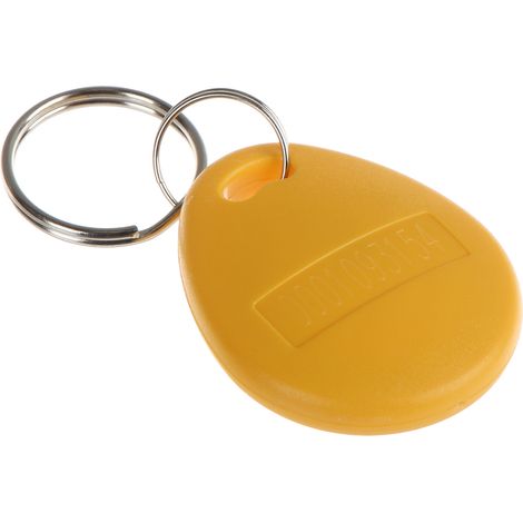 Atlo-534N/Y RFID-Proximity-Schlüsselanhänger (1/3)