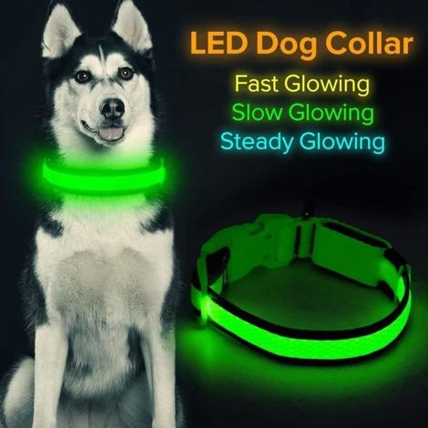 Collier pour chien LED rechargeable par -Collier lumineux et confortable en maille souple -Pour chiens de petite, moyenne et grande (1/3)