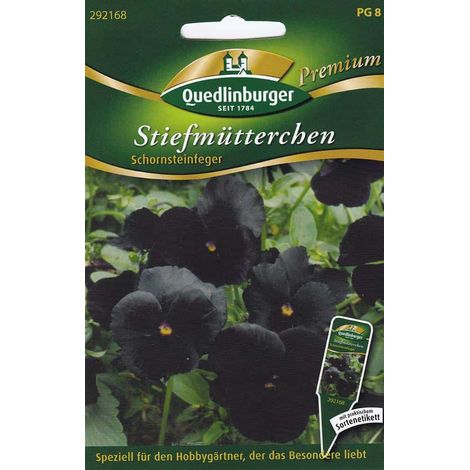 Quedlinburger Stiefmütterchen Schornsteinfeger - Blumensamen (1/2)