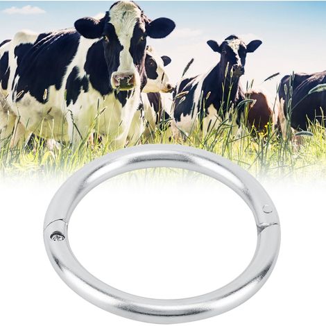 Anneau nasal en acier inoxydable pour taureau/vache, accessoire d'élevage (M) (1/5)