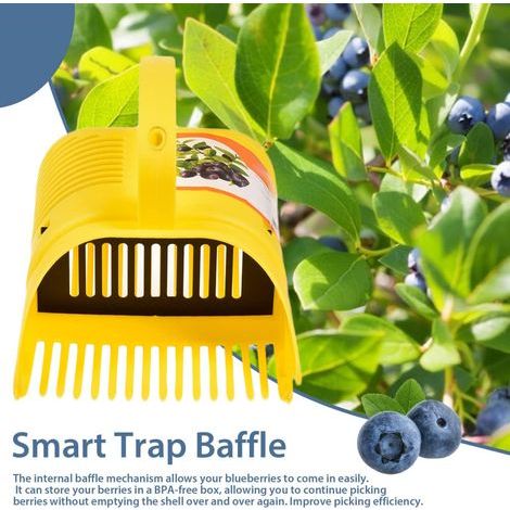 Berry Picker Peigne Plastique Blueberry Rake Scoop pour la Récolte de Fruits 22x14x17cm (1/5)